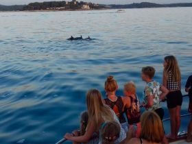 A group of children excitedly watches dolphins swimming nearby, capturing a magical wildlife moment on the water.