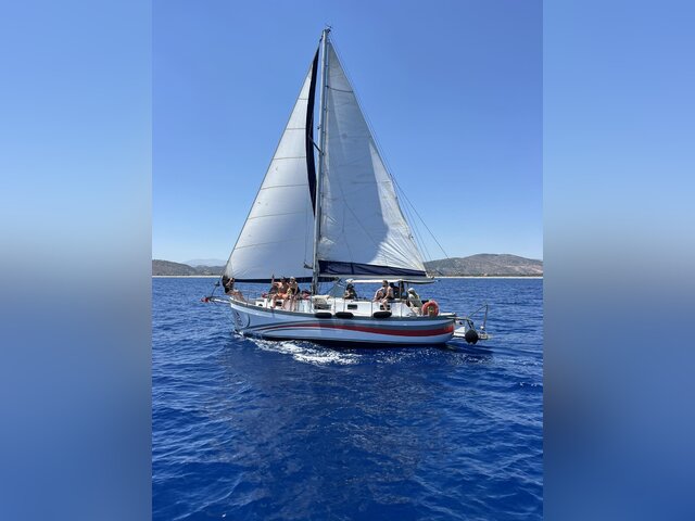 Listing image 1101304