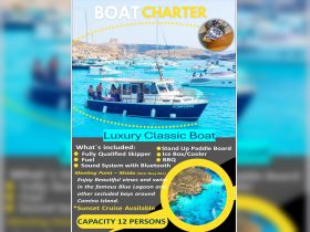 A luxury classic boat charter offers stunning views and swimming opportunities in the famous Blue Lagoon and secluded bays around Comino Island, perfect for group adventures.