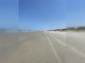 A wide shot of a beach with tire tracks leading towards the ocean under a clear blue sky. The scene captures the tranquility of a coastal landscape.