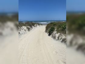 A serene view of a sandy path leading to the beach, framed by grass and a clear blue sky, perfect for beachgoers seeking a tranquil escape.