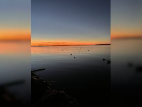 A serene sunset over calm waters, with ducks peacefully floating, creating a picturesque scene perfect for nature lovers and tranquil escapes.