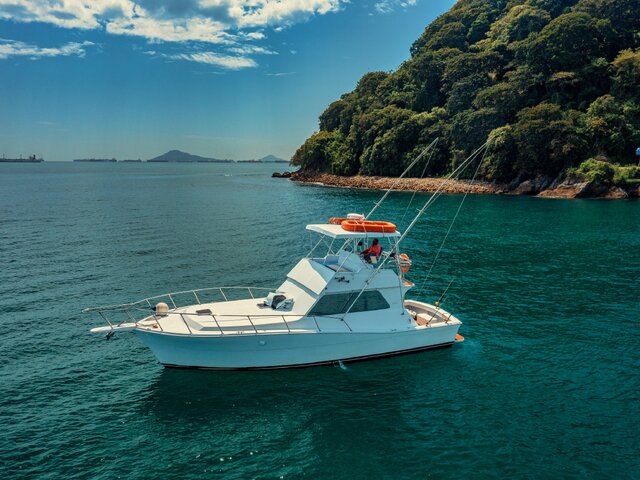 Listing image 1100908