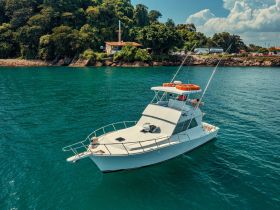 A stunning aerial view of a sleek yacht cruising through clear turquoise waters, surrounded by lush greenery — perfect for luxury charters and scenic tours.