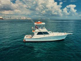 A stunning aerial view of a sleek yacht cruising through clear waters, with a vibrant city skyline in the background, perfect for luxury charters and fishing trips.