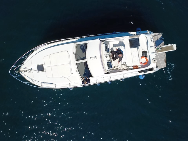 Listing image 1164613