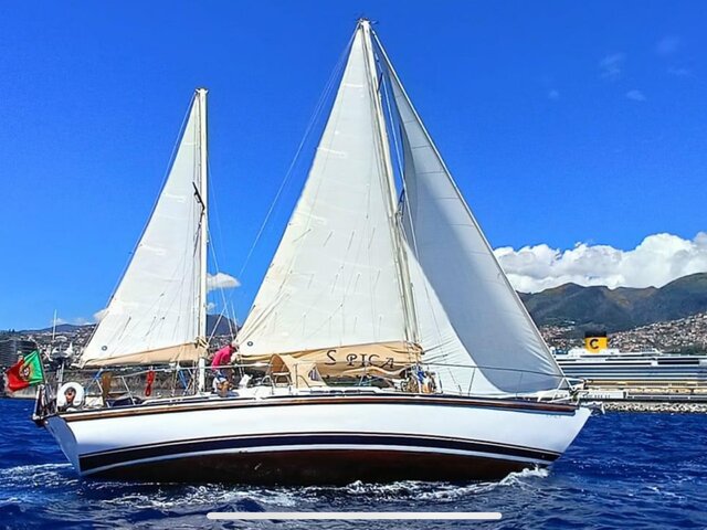 Listing image 1101093
