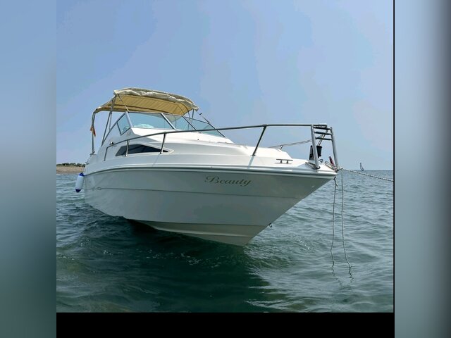 Listing image 1101349