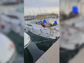 Two friends relax on a Sea Ray boat docked at the marina, enjoying a peaceful moment surrounded by other vessels.