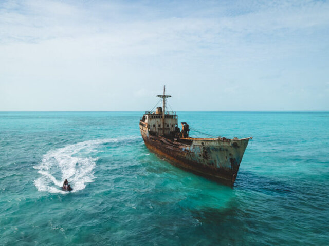 Listing image 1101429