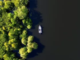 Aerial view of a boat surrounded by lush greenery, showcasing the serene beauty of nature and waterway exploration.