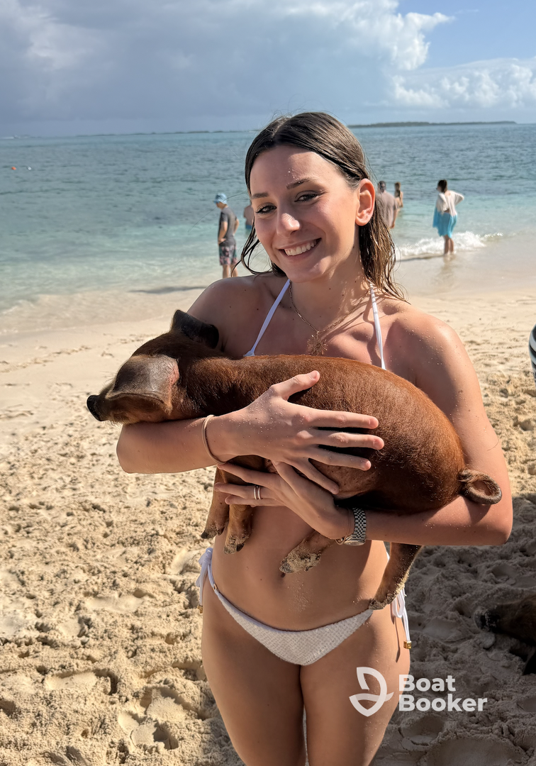 Island Skipper – Snorkeling, Pigs & Beach
