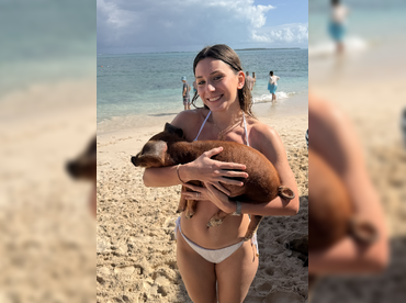 Island Skipper – Snorkeling, Pigs & Beach