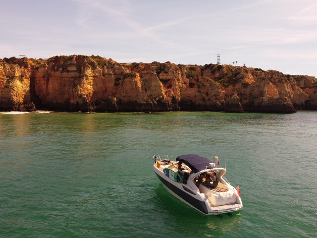 Listing image 1101646