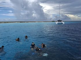 A group of divers enjoys snorkeling in crystal-clear waters, with a catamaran anchored nearby, perfect for underwater adventures and marine exploration.