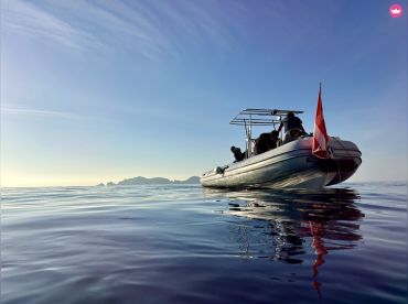 Odissey Diving Ponza