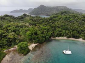 Aerial view of a catamaran anchored in a serene bay surrounded by lush greenery, showcasing the beauty of nature and ideal for peaceful getaways.