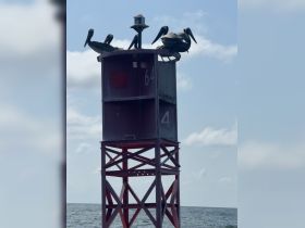 A group of pelicans perched atop a navigation buoy, showcasing the beauty of coastal wildlife in their natural habitat.