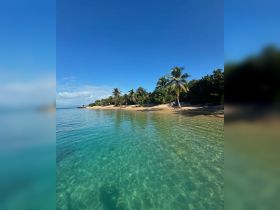 A stunning view of a tranquil beach with crystal-clear waters and lush palm trees, perfect for a serene getaway or island exploration.