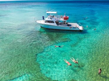 Pure Adventure – Newton Dive Special