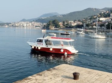 Vega Boat