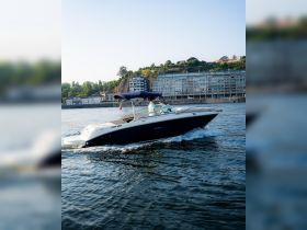 A speedboat glides through the water with a person at the helm, showcasing an exciting day on the water against a scenic backdrop.
