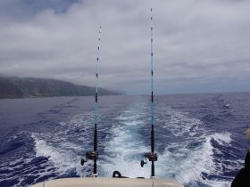 A scenic view of fishing rods on a boat, with the ocean and coastal landscape in the background, capturing the essence of a fishing adventure.