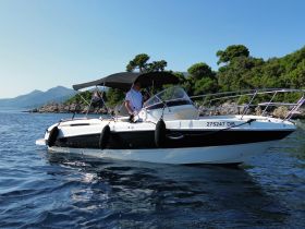 A sleek boat navigates through clear waters, with passengers enjoying the ride against a picturesque backdrop of lush greenery and mountains.