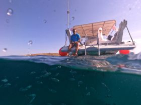 A man relaxes on the edge of a boat while fish swim below, capturing a serene moment of underwater exploration and fishing adventures.
