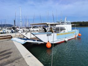 A charming boat docked at a marina, surrounded by other vessels, showcasing its unique design and vibrant colors.