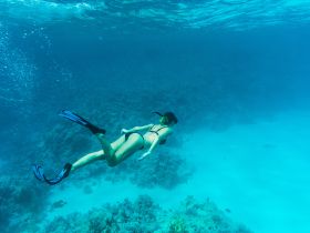 A snorkeler explores vibrant underwater scenery, showcasing the beauty of marine life in crystal-clear waters — a perfect adventure for diving enthusiasts.