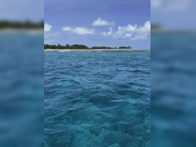A stunning view of a tropical coastline with crystal-clear waters, perfect for showcasing the beauty of island destinations and marine adventures.