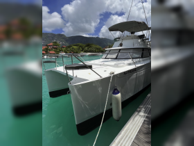 A sleek catamaran docked in clear turquoise waters, surrounded by lush greenery and mountains, perfect for a relaxing day on the water.