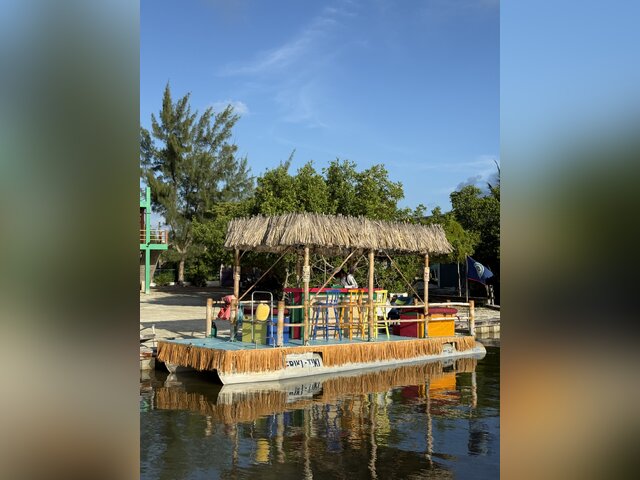 Listing image 1102464