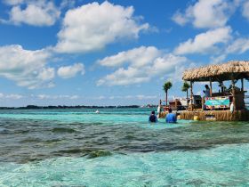 Guests enjoy a vibrant tropical setting at a floating bar, with clear turquoise waters perfect for swimming and relaxation.