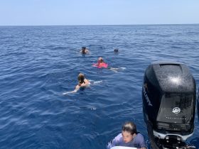 A lively group enjoys swimming in the deep blue ocean, showcasing the fun and excitement of water activities on a boating adventure.