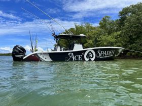 A sleek speedboat named 'Ace of Spades' anchored in calm waters, showcasing its fishing gear and vibrant design against a backdrop of lush greenery.