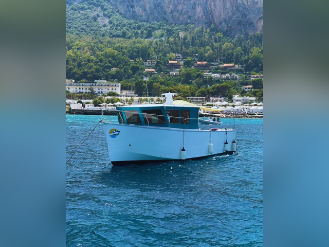 Listing image 1102985