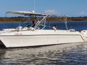 A sleek speedboat navigates calm waters with a person at the helm and a dog enjoying the ride — perfect for leisurely outings on the water.
