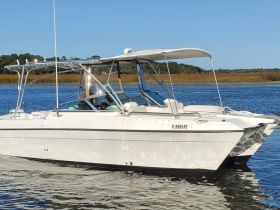 A sleek speedboat glides through calm waters, showcasing its elegant design and perfect for a day of adventure on the water.