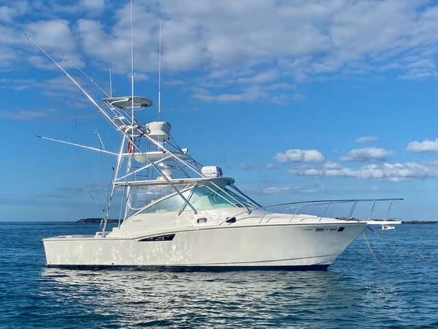 Listing image 1103411