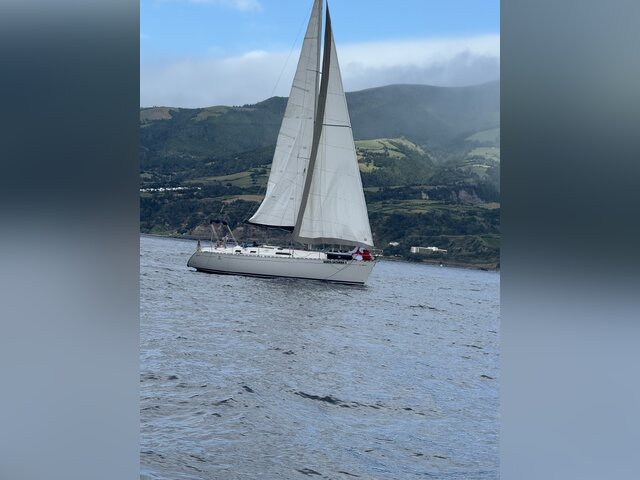 Listing image 1135103