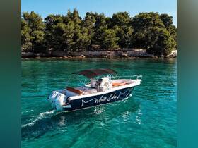 A sleek speedboat named 'White Shark' glides through crystal-clear waters, surrounded by lush greenery — perfect for exploring coastal destinations.