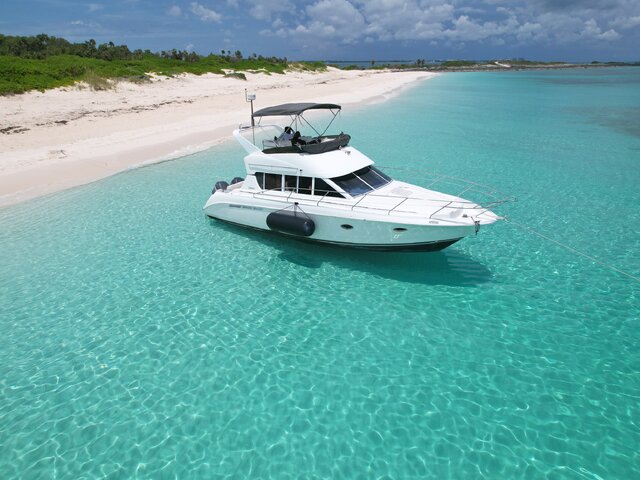 Listing image 1103574