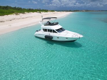 Wild Willy’s – Water Sports  And Tours