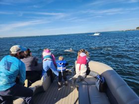 A family enjoys a close encounter with dolphins while aboard a boat, creating unforgettable memories on the water.