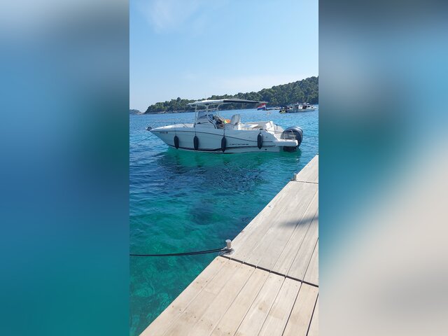 Listing image 1104052