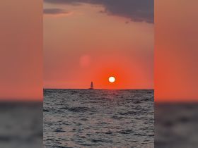A serene sunset view featuring a sailboat silhouetted against a vibrant orange sky, perfect for capturing the tranquility of evening on the water.
