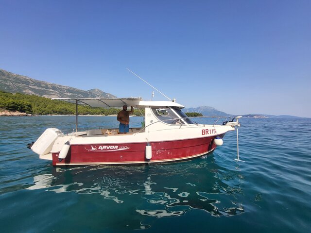 Listing image 1104111