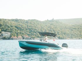 A speedboat glides through the water with a driver at the helm, showcasing the beauty of the surrounding landscape — perfect for adventurous outings on the water.